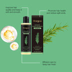 Rosemary Hair Growth Shampoo