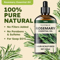 Rosemary Essential Hair Oil For Roots